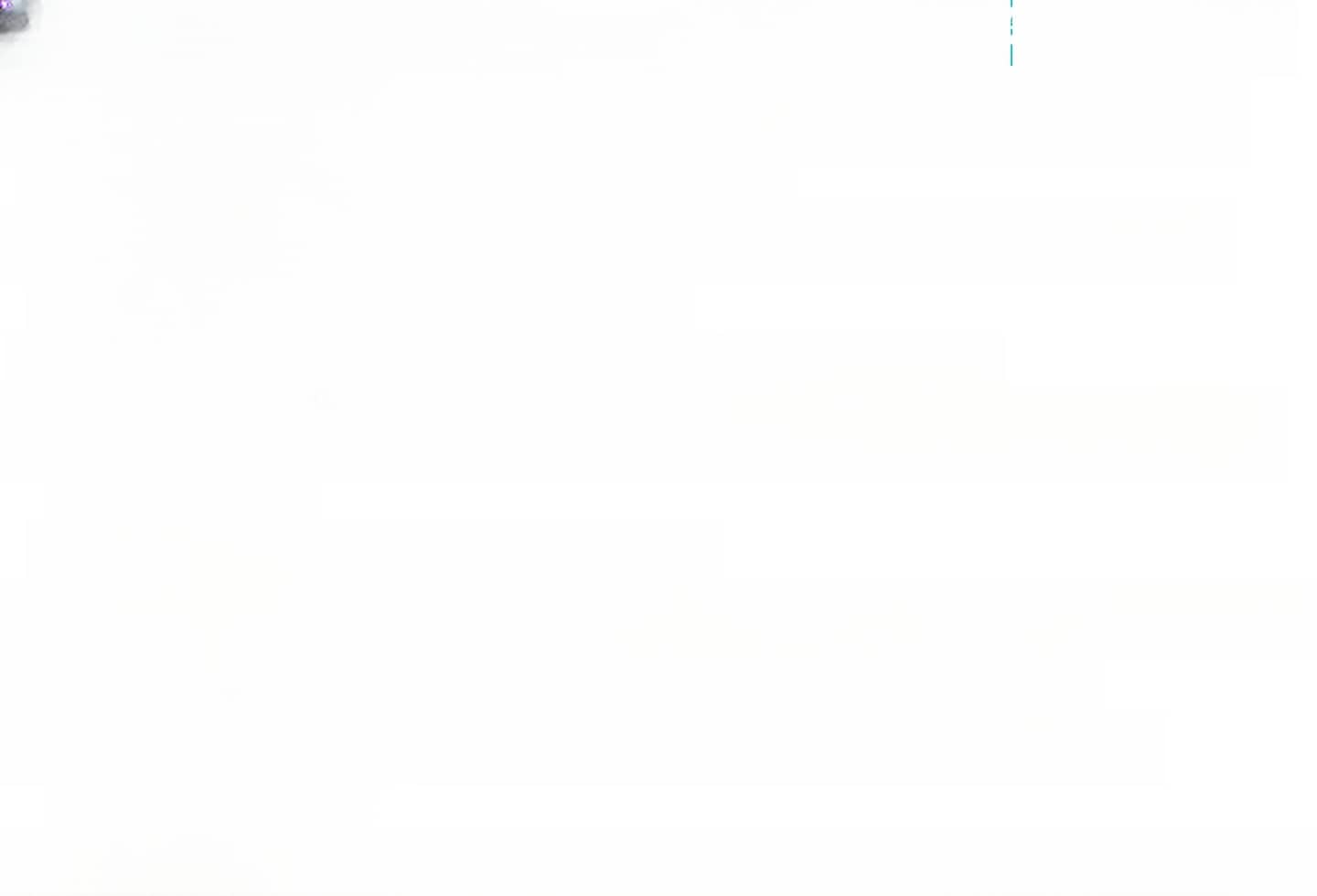 Volkswagen Passat VARIANT 1.5 TSI Business-Premium Paket Cl foto 15