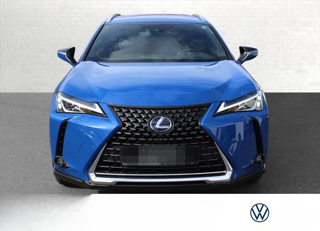 Lexus UX 250h LED*ACC*SHZ*Apple CarPlay foto 2