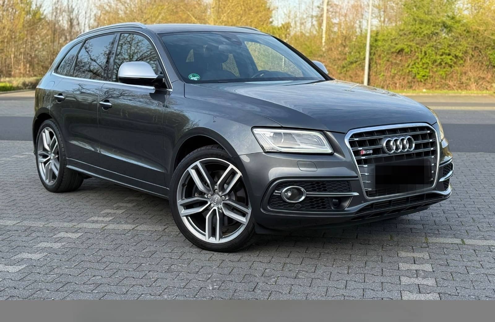 Audi SQ5 3.0 TDI competition quattro Service foto 1