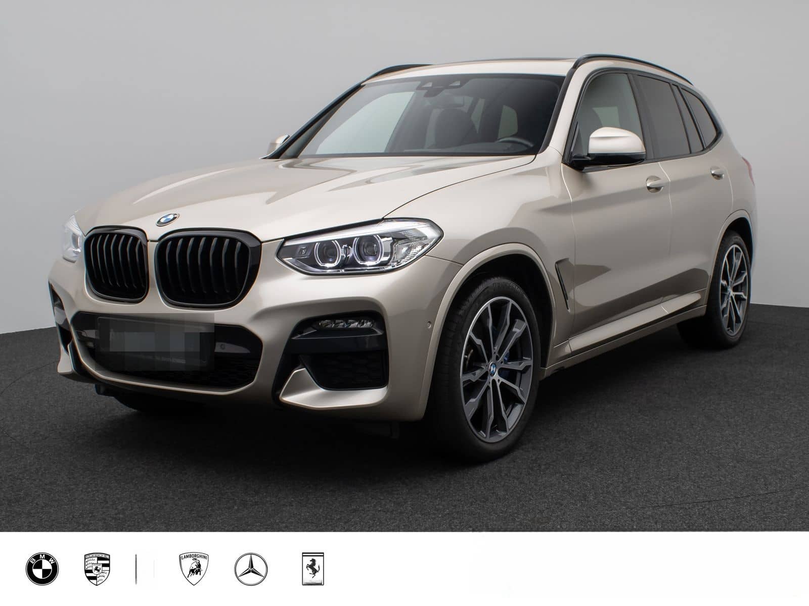 BMW X3 xD30d M Sport Panorama Kamera DAB HiFi DisKey foto 1