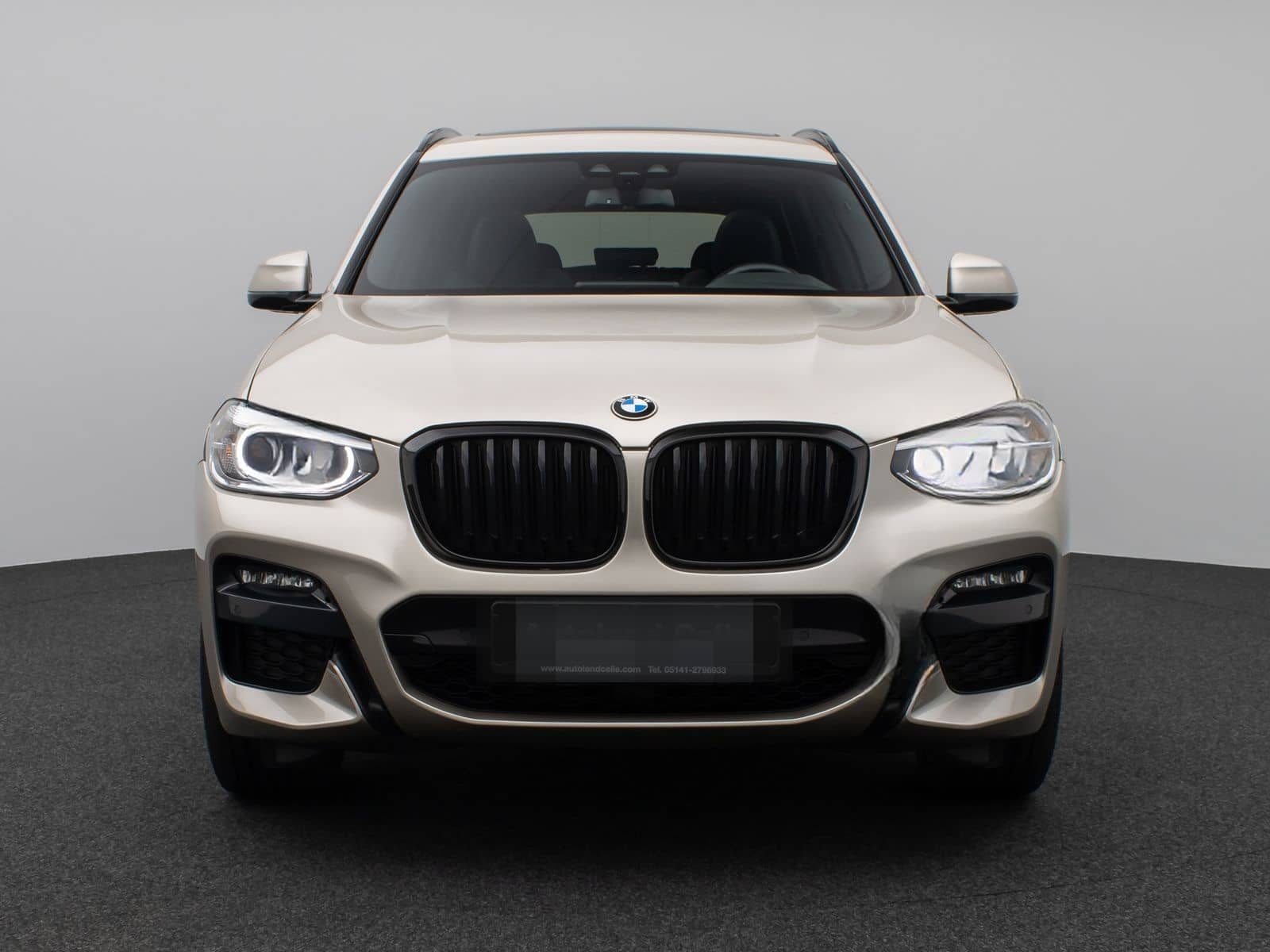 BMW X3 xD30d M Sport Panorama Kamera DAB HiFi DisKey foto 2