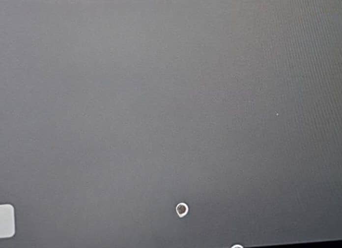 Tesla Model Y ohne Nachlackierung+kaufe auch Tesla an+ foto 3