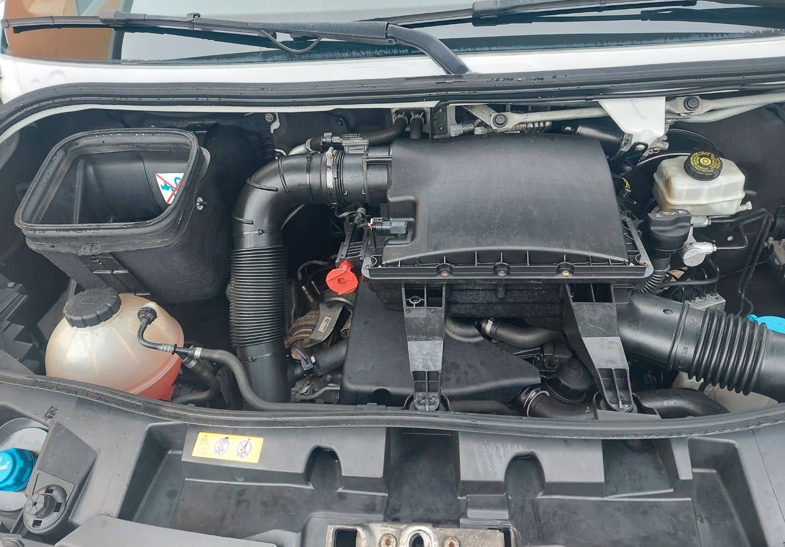 Mercedes-Benz Sprinter III Tourer RWD/AWD 316 CDI RWD foto 21