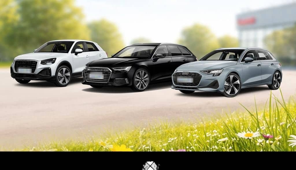 Audi Q8 SUV 50 TDI Matrix Pano Sthzg Leder foto 5