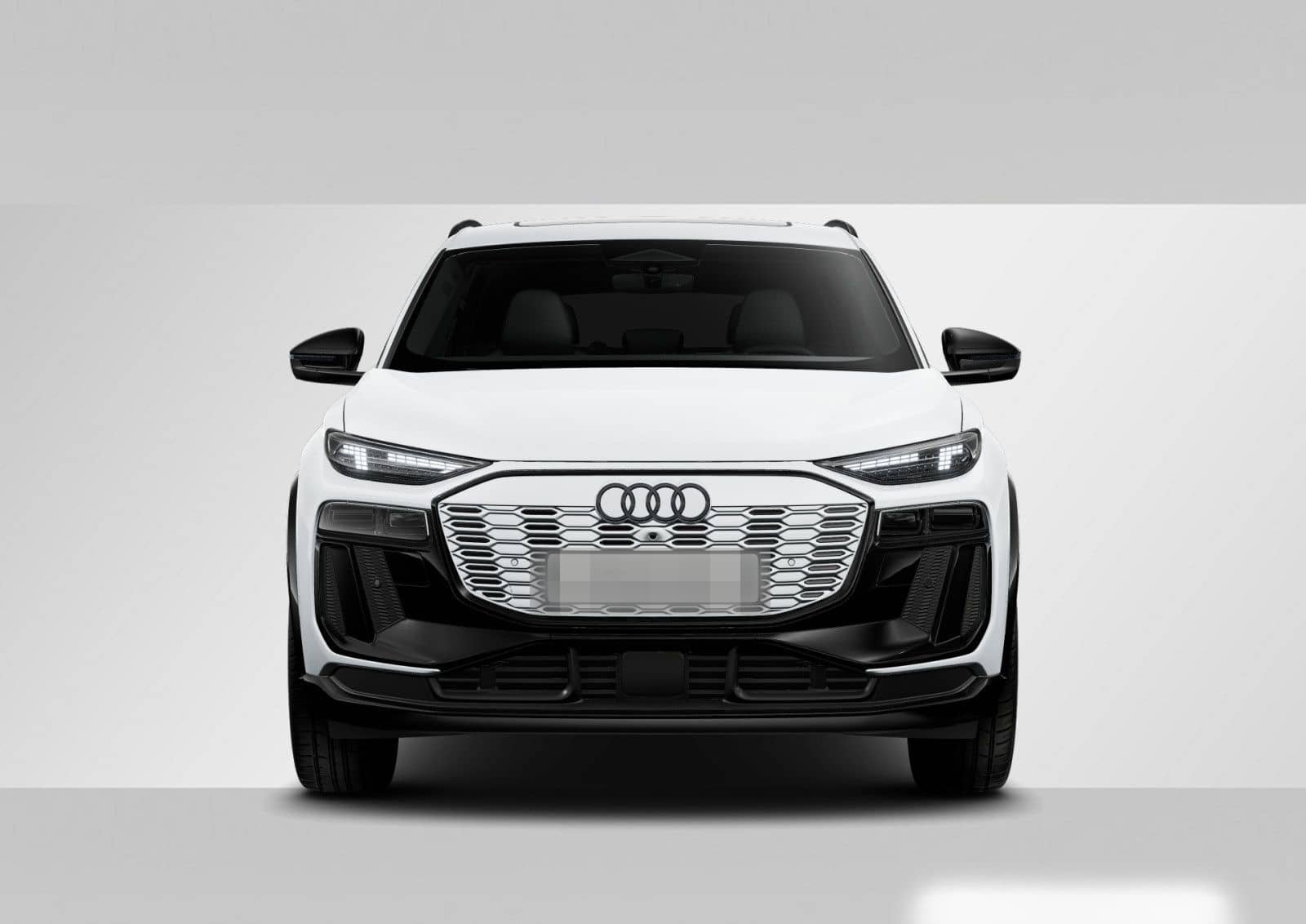 Audi Q6 e-tron qu. S line Pano/Luftfed./AHK/HuD/ACC/V foto 3