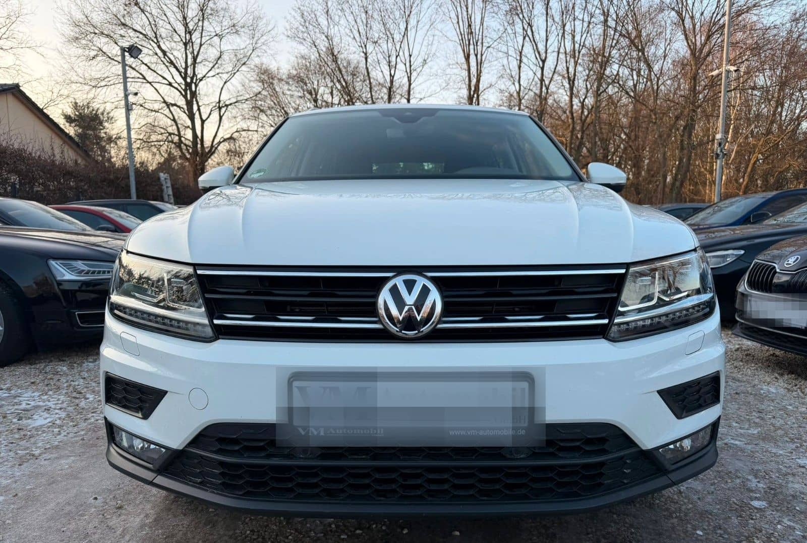 Volkswagen Tiguan Comfortline 4Motion Kam*SitzHz.*ACC foto 2