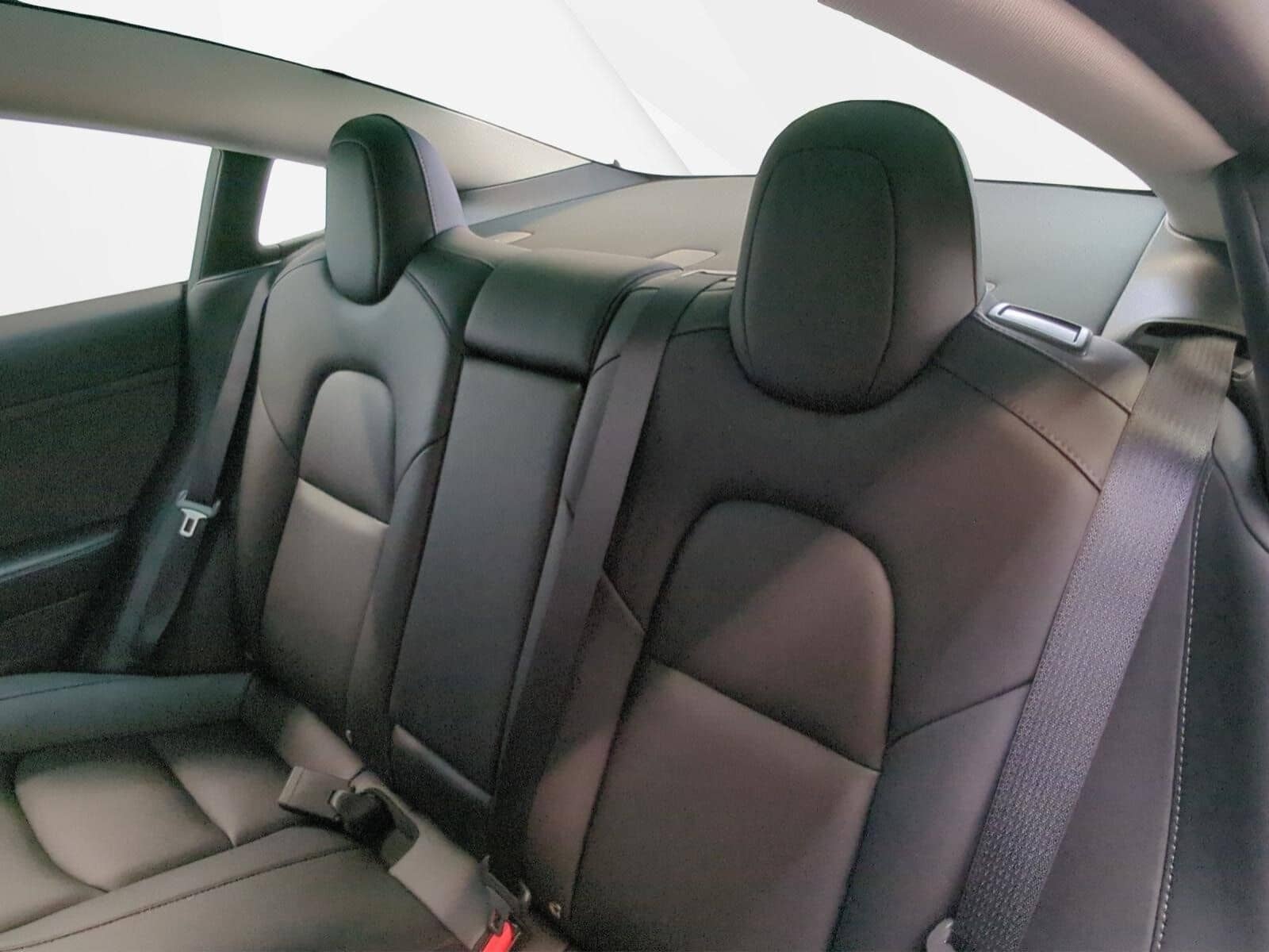 Tesla Model 3 Standard Range PLUS A.Pilot Pr. Int. foto 8