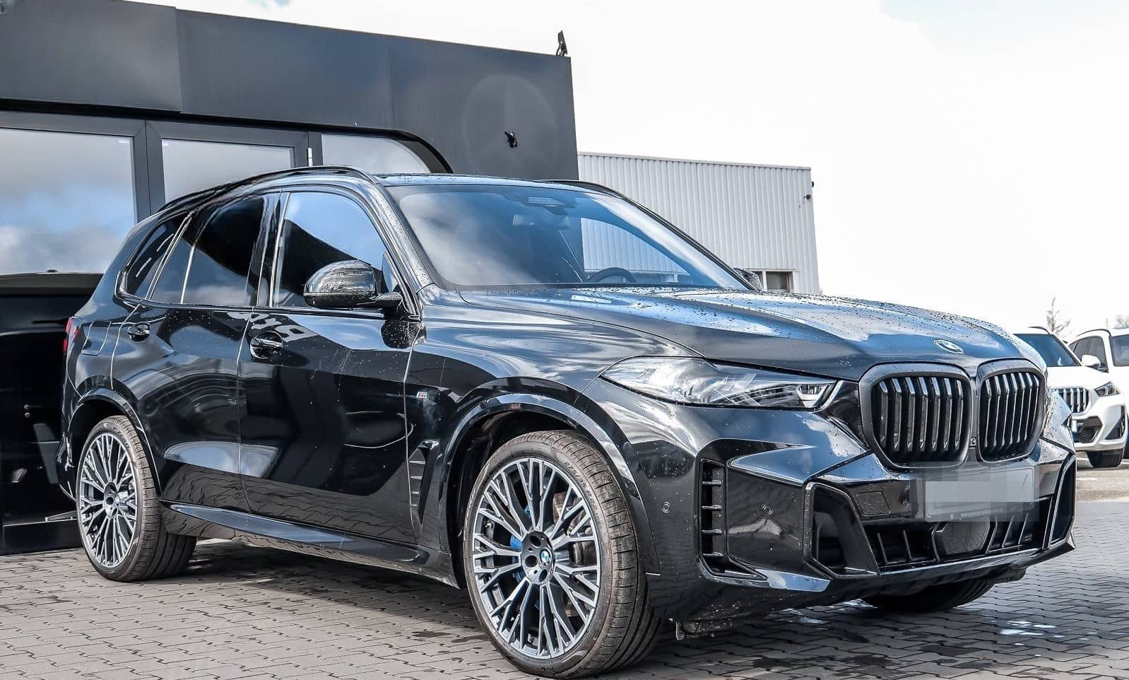 BMW X5 xDrive40d M Sport HUD PANO ACC AHK 360°KAM foto 6