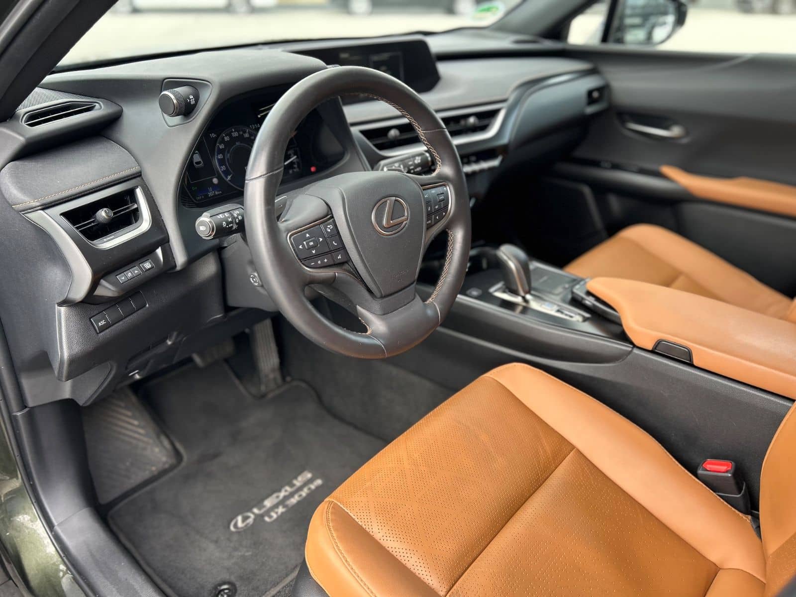 Lexus UX 300e - ACC-Belü.Sitze-Memory-Leder-Kamera-17Z foto 13