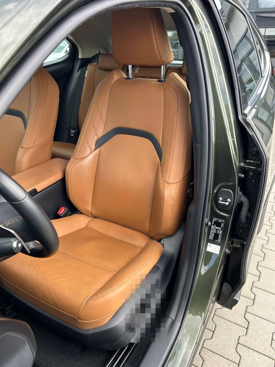 Lexus UX 300e - ACC-Belü.Sitze-Memory-Leder-Kamera-17Z foto 14