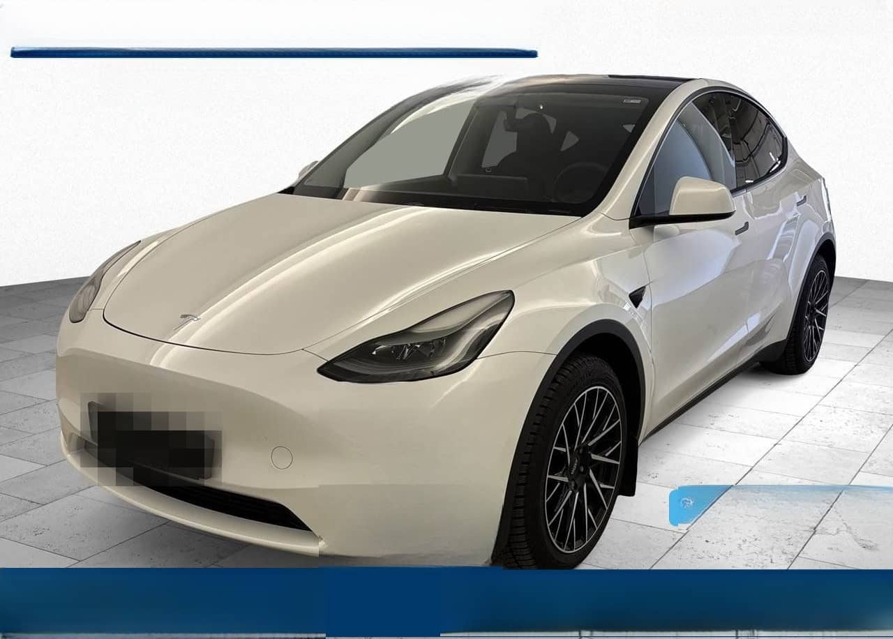 Tesla Model Y Long Range Dual Motor AWD AUT foto 1