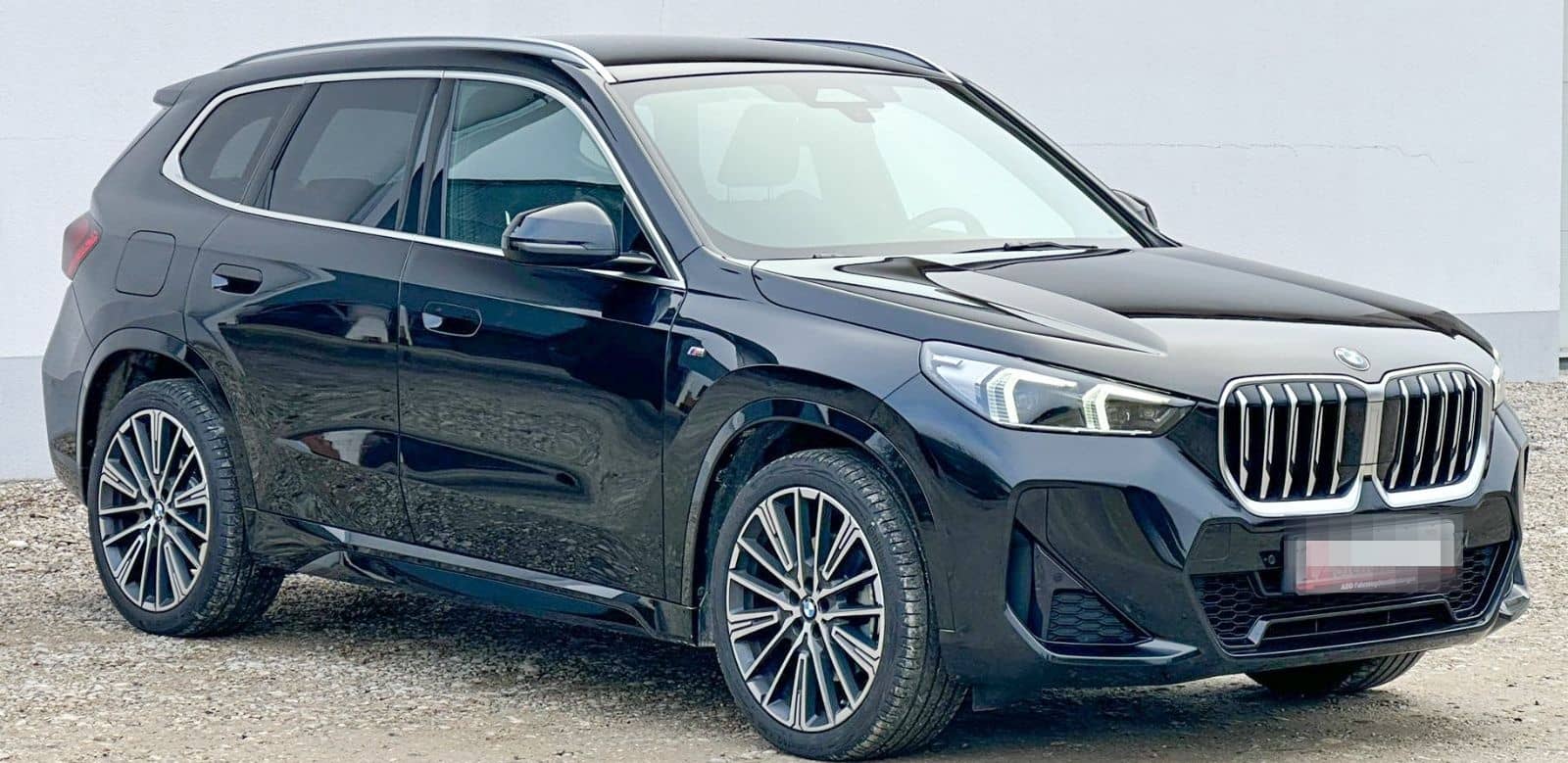 BMW X1 23xd M Sport,AHK,DA P,Kamera, ad.LED, el.Sitz foto 2