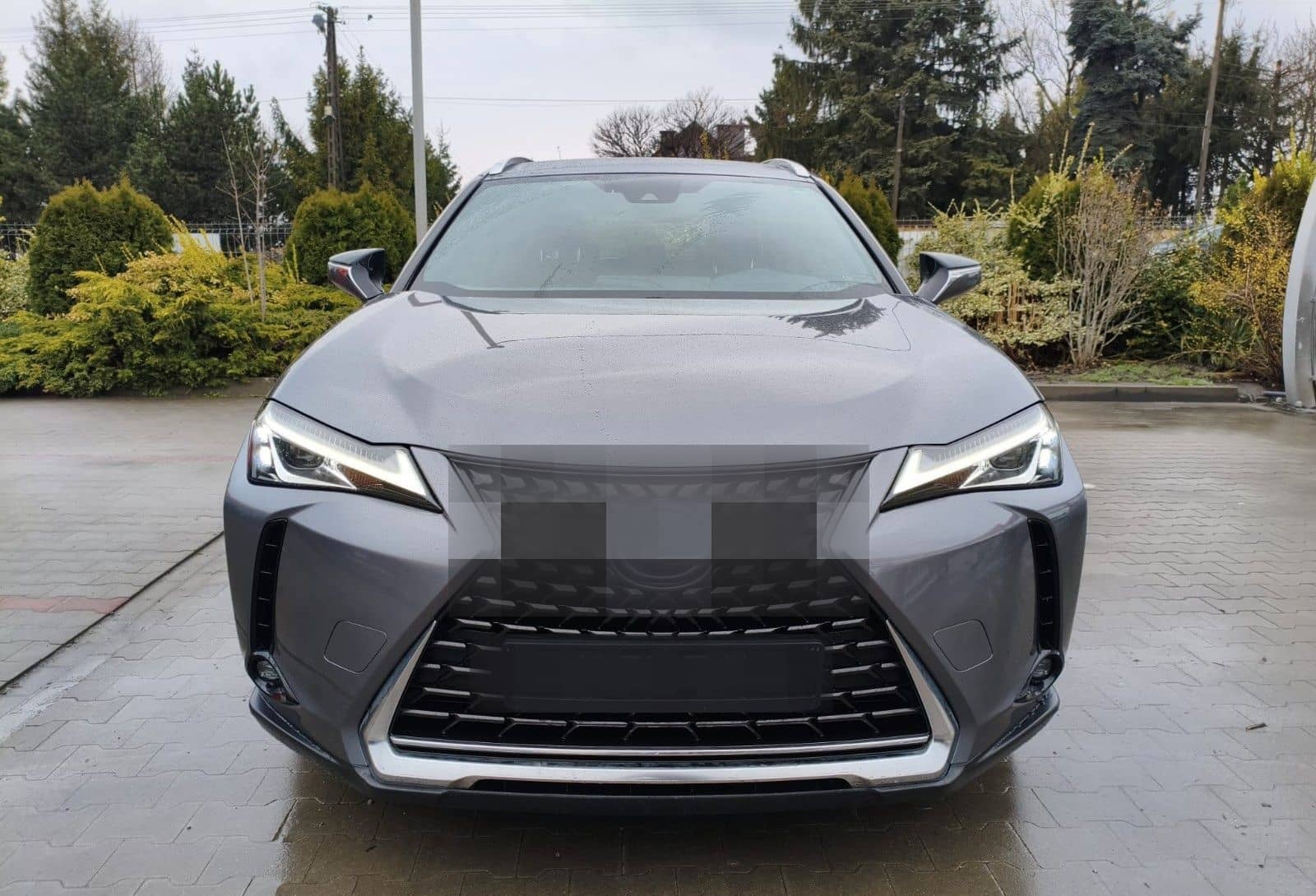 Lexus UX 250 h foto 1