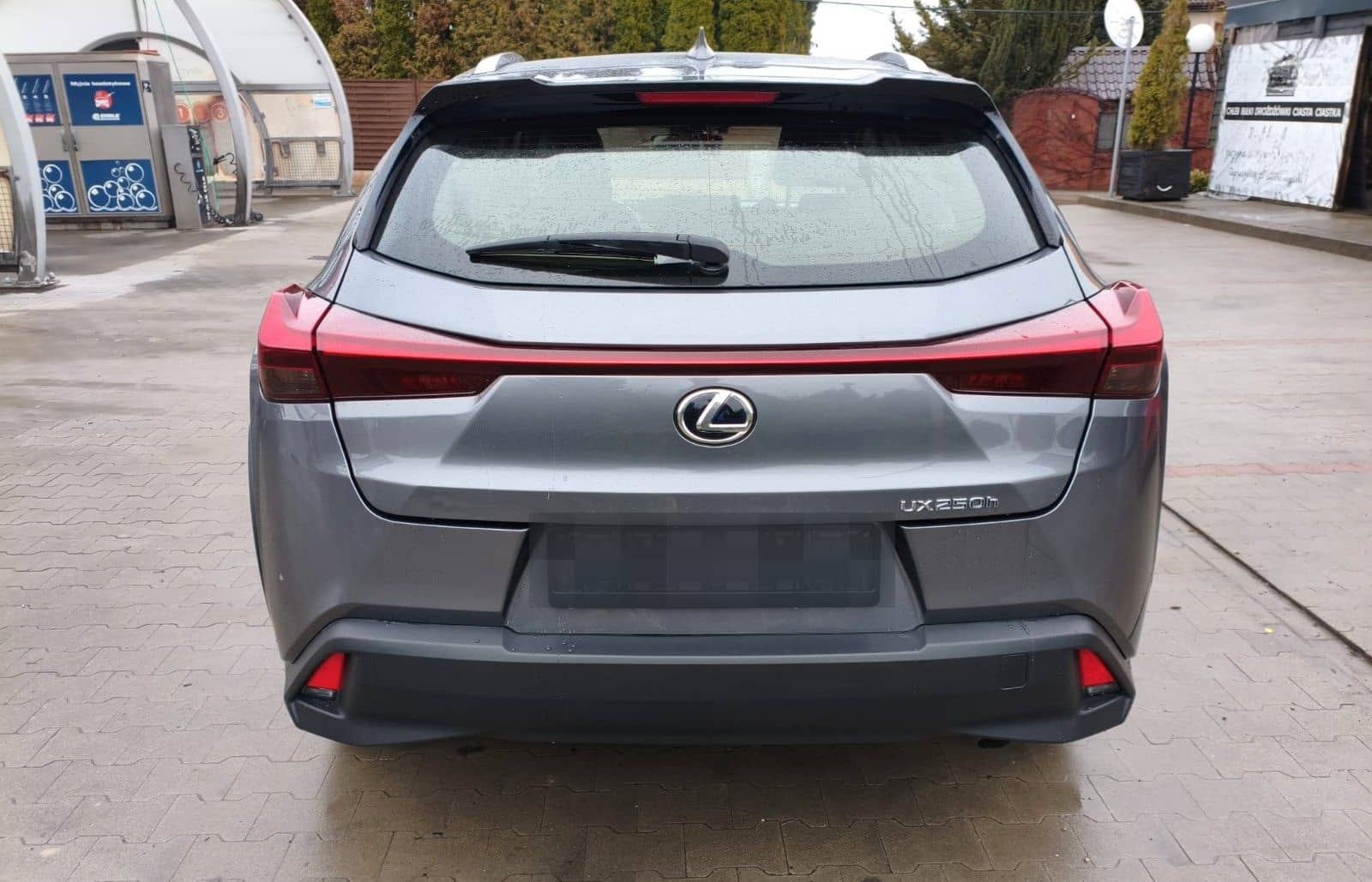 Lexus UX 250 h foto 6