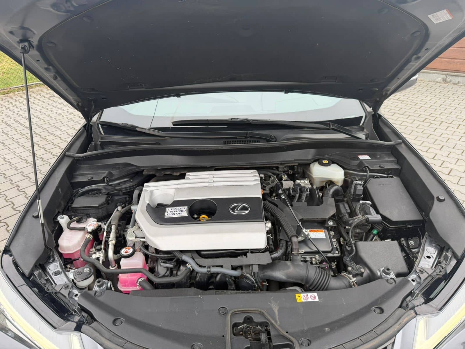 Lexus UX 250 h foto 10