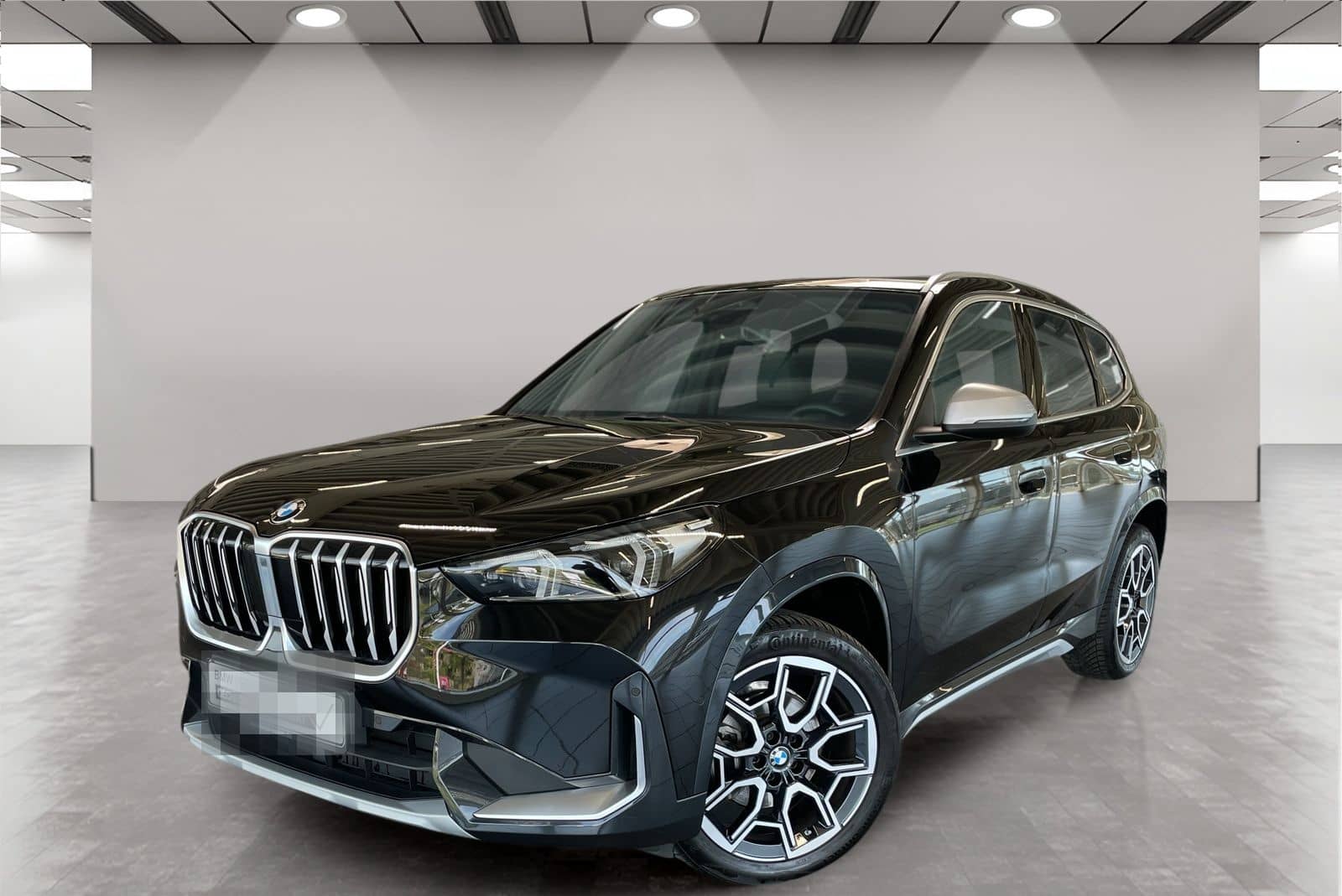 BMW X1 sDrive18i Kamera Pano.Dach Driv.Assist LED foto 1