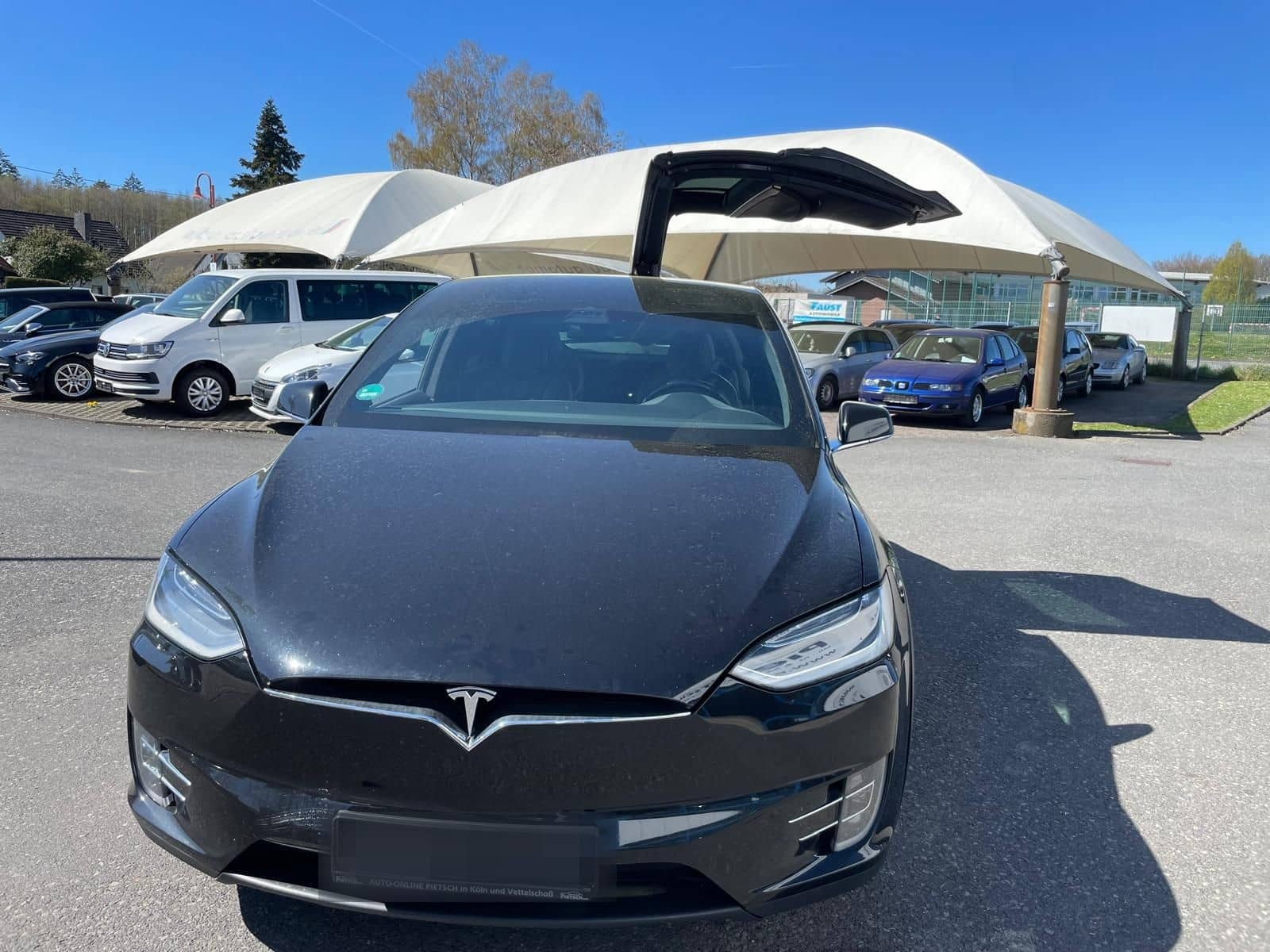 Tesla Model X 100 D foto 7