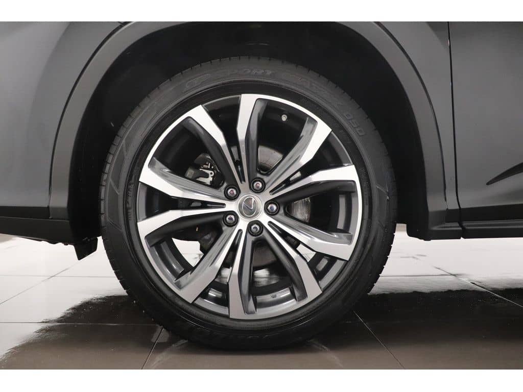 Lexus RX 450h AWD Panorama LEDER LED NAVI foto 5