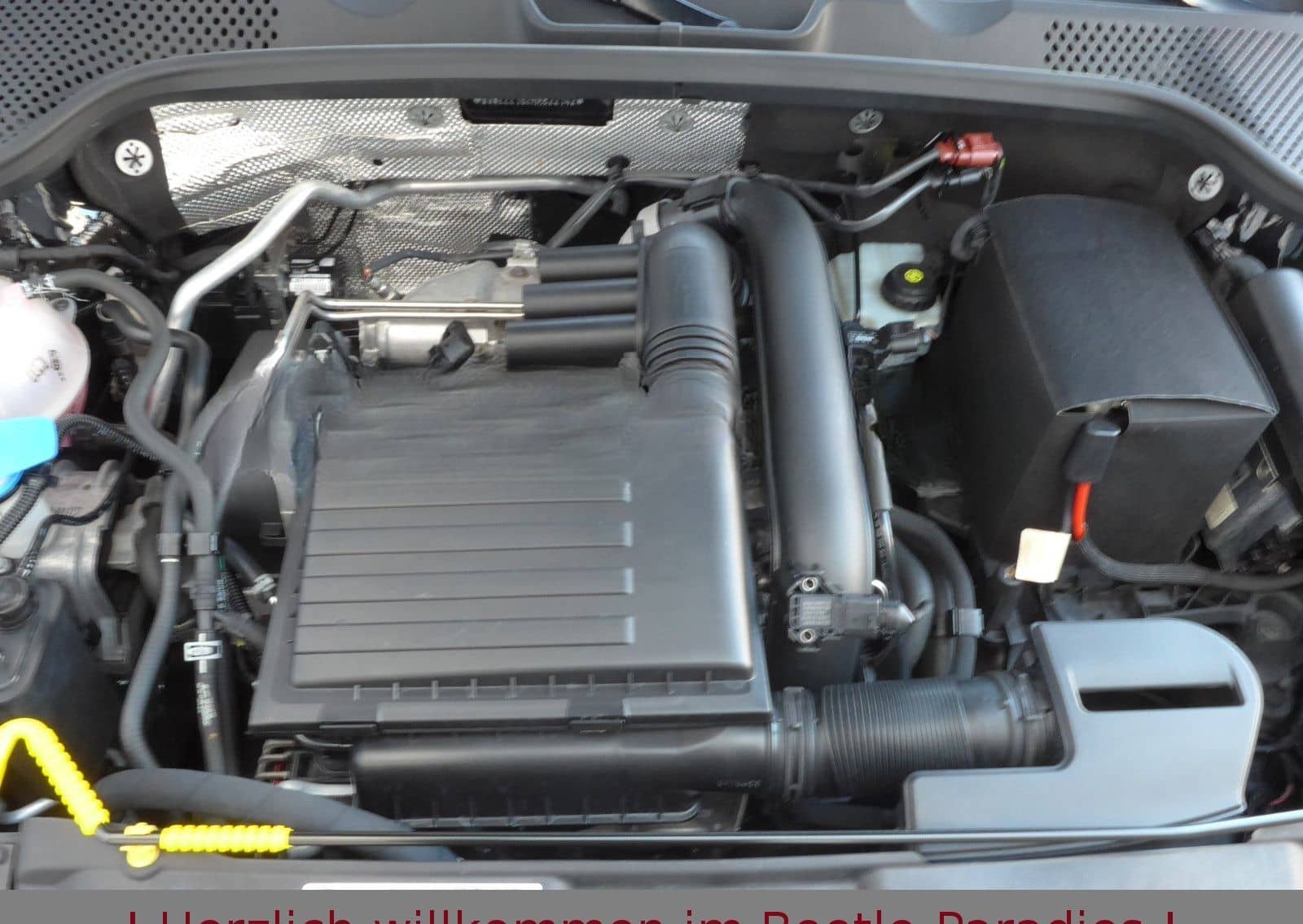 Volkswagen Beetle 1.2TSI Sound Plus Fender Xenon AppCon. SH foto 20