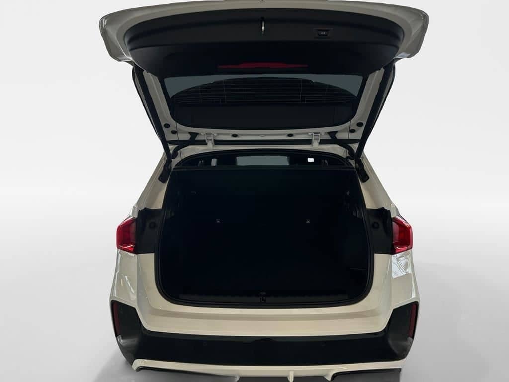 BMW X1 sDrive20i Aut M Sport AHK+Lenkradhzg+Driv.Ass foto 18