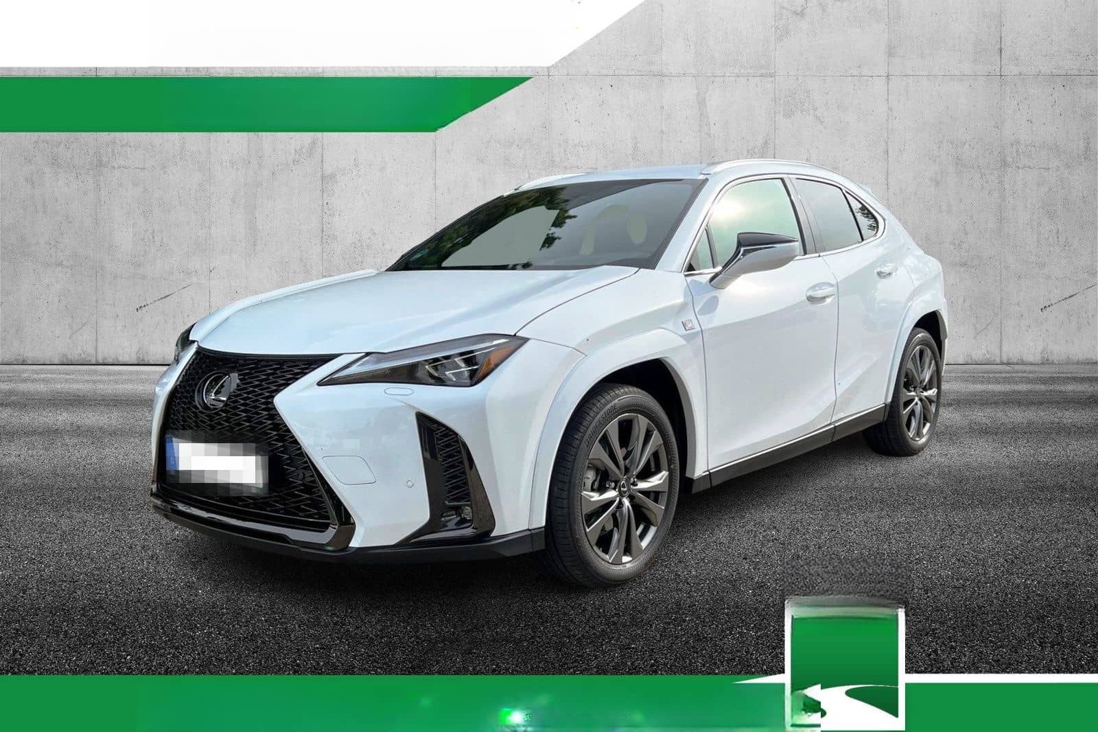 Lexus UX 250H F Sport Leder Kamera SHZ foto 1