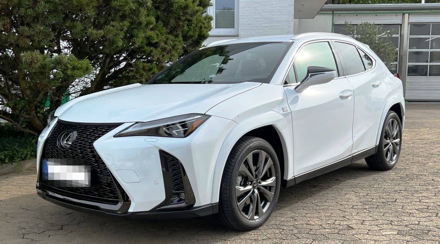 Lexus UX 250H F Sport Leder Kamera SHZ foto 2