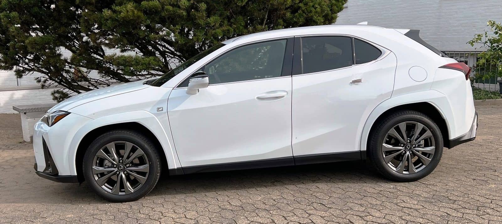 Lexus UX 250H F Sport Leder Kamera SHZ foto 3