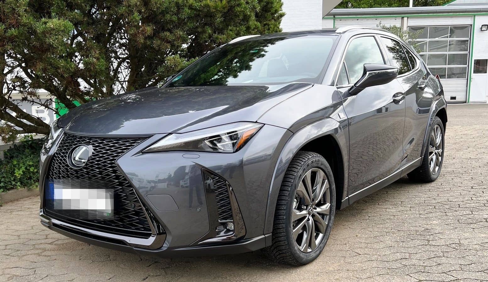 Lexus UX 250H F Sport Leder Kamera SHZ foto 2