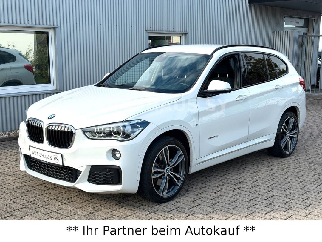 BMW X1 xDrive 20 d M Sport 2017