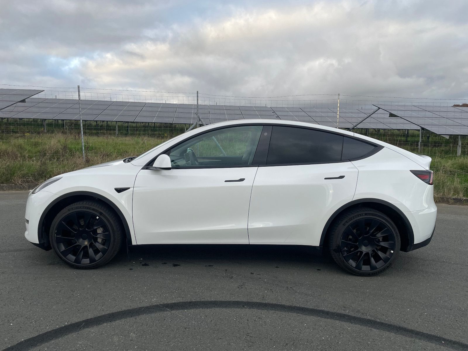 Tesla Model Y Long Range Dual AWD 20 Zoll foto 3
