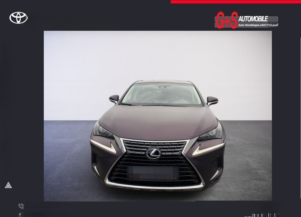 Lexus NX 300h E-FOUR Launch Edition foto 5