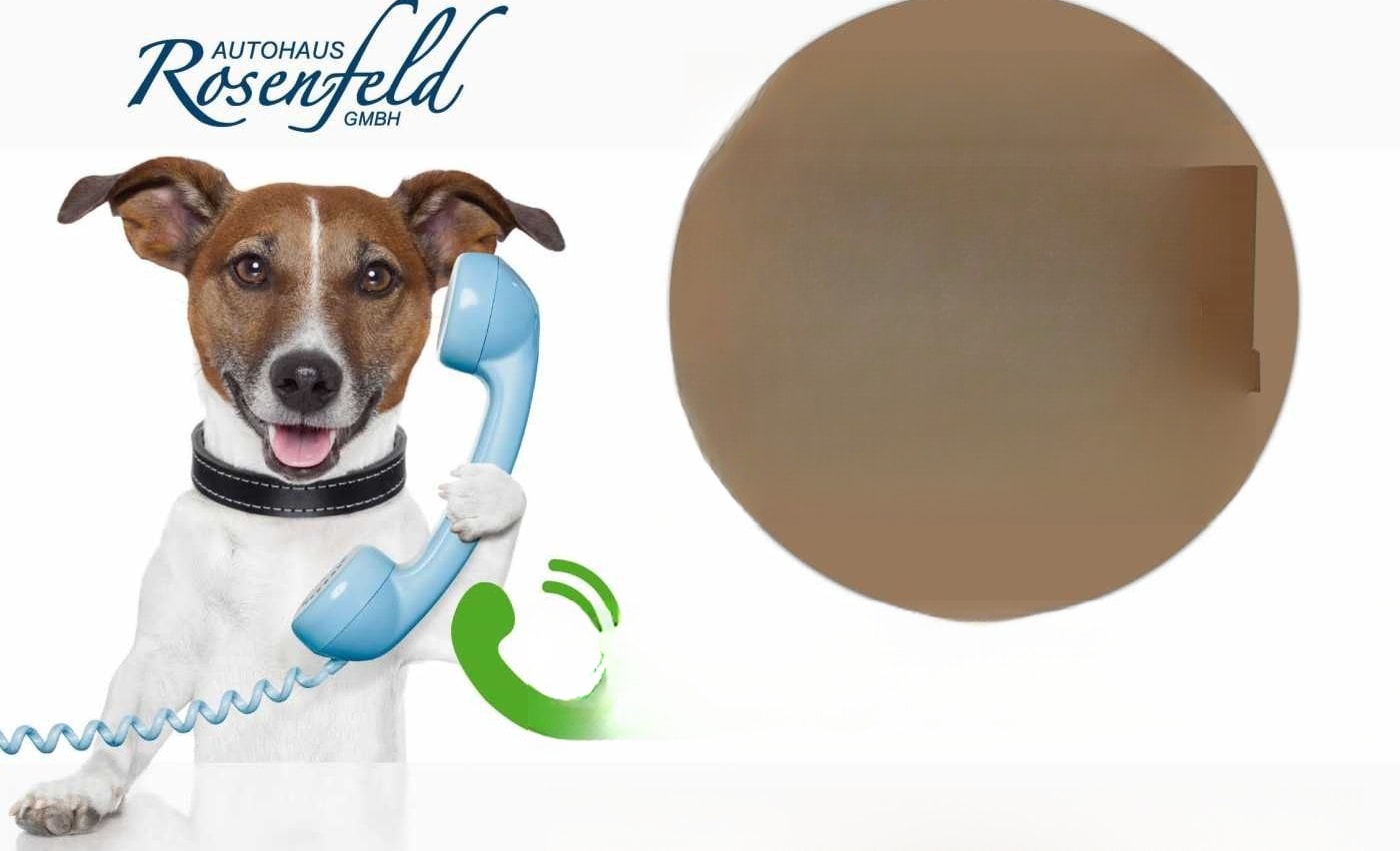 Volkswagen T6 DSG LANG LR  Standhz.+2 Schiebet.+Flügelt.+ S foto 3