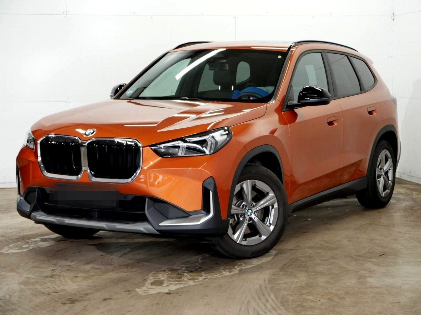 BMW X1 sDrive 20i Sport Panorama Kamera Adapt.LED foto 1