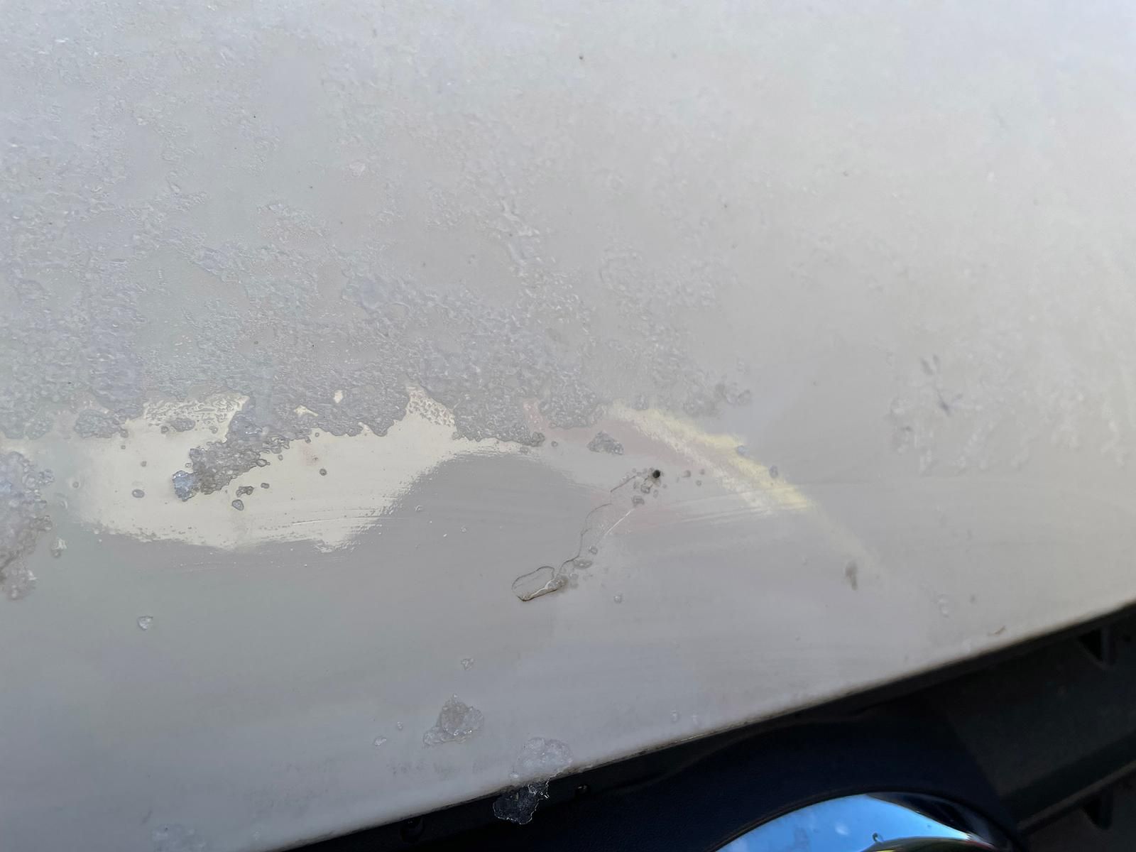 Volkswagen T6 Transporter 2.0 TDI Kombi lang 9-SITZE TEMP foto 18