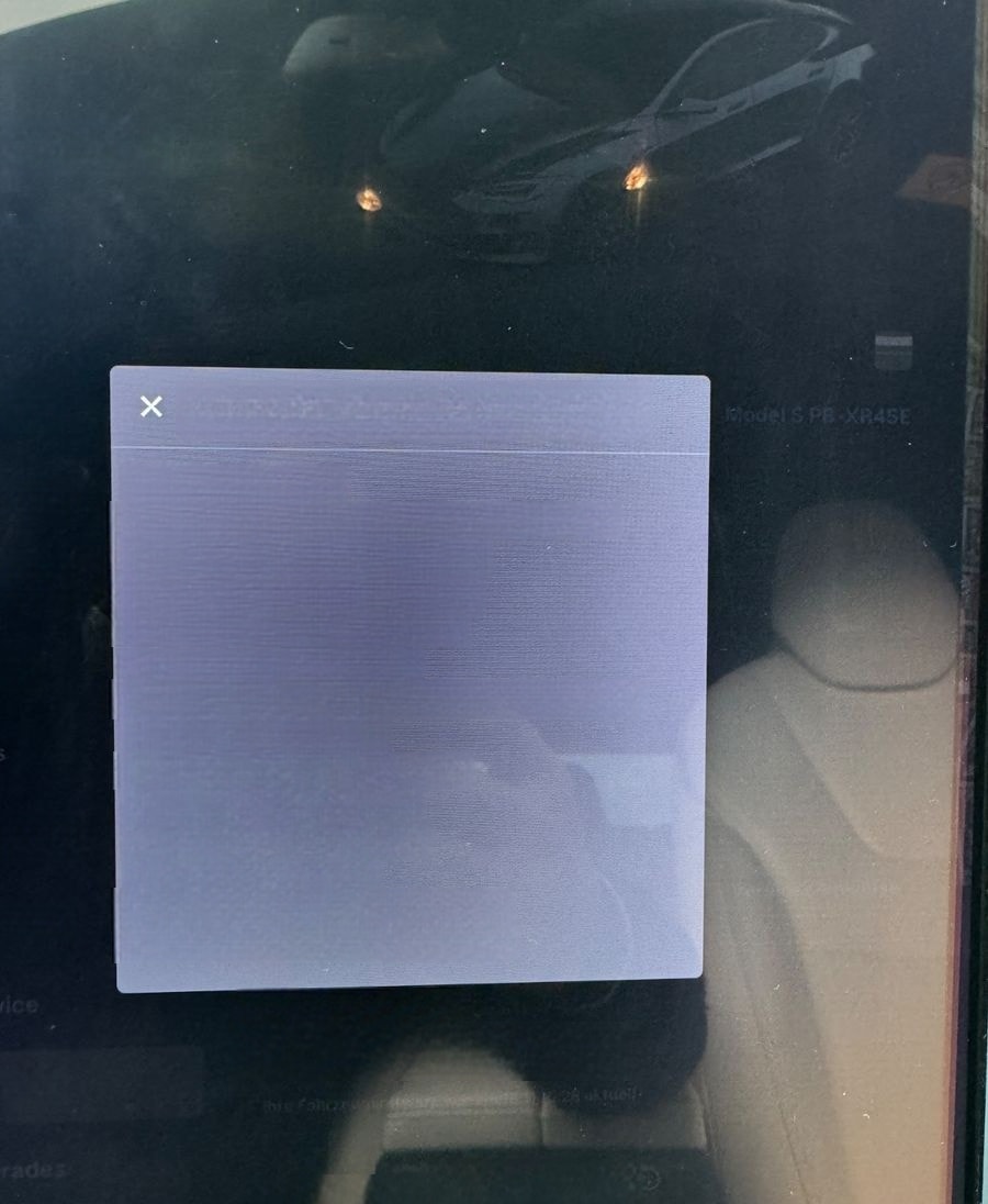 Tesla Model S 100D EAP Pano MCU 2 CCS foto 18