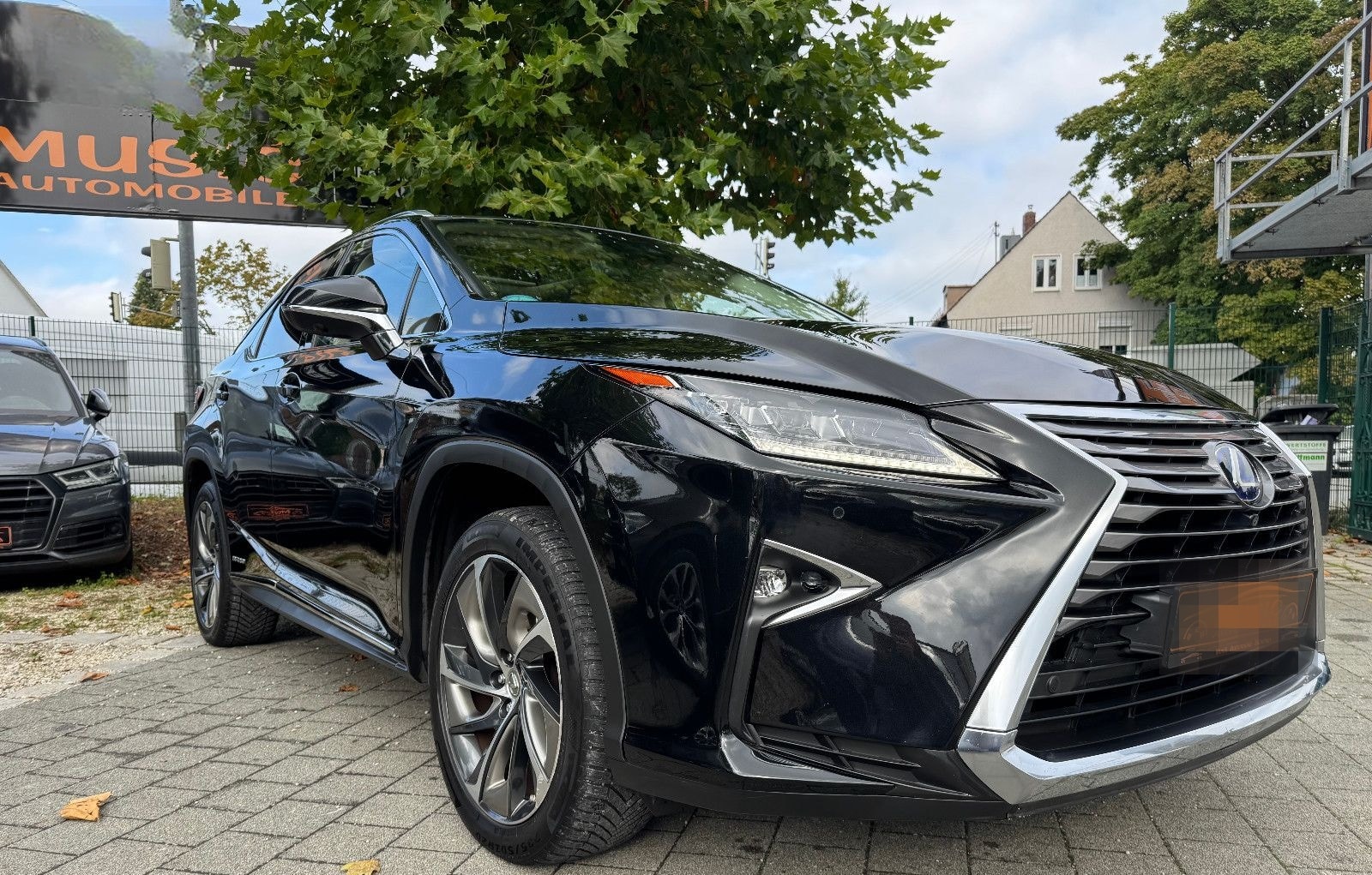 Lexus RX 450/Panorama/Kamera foto 4