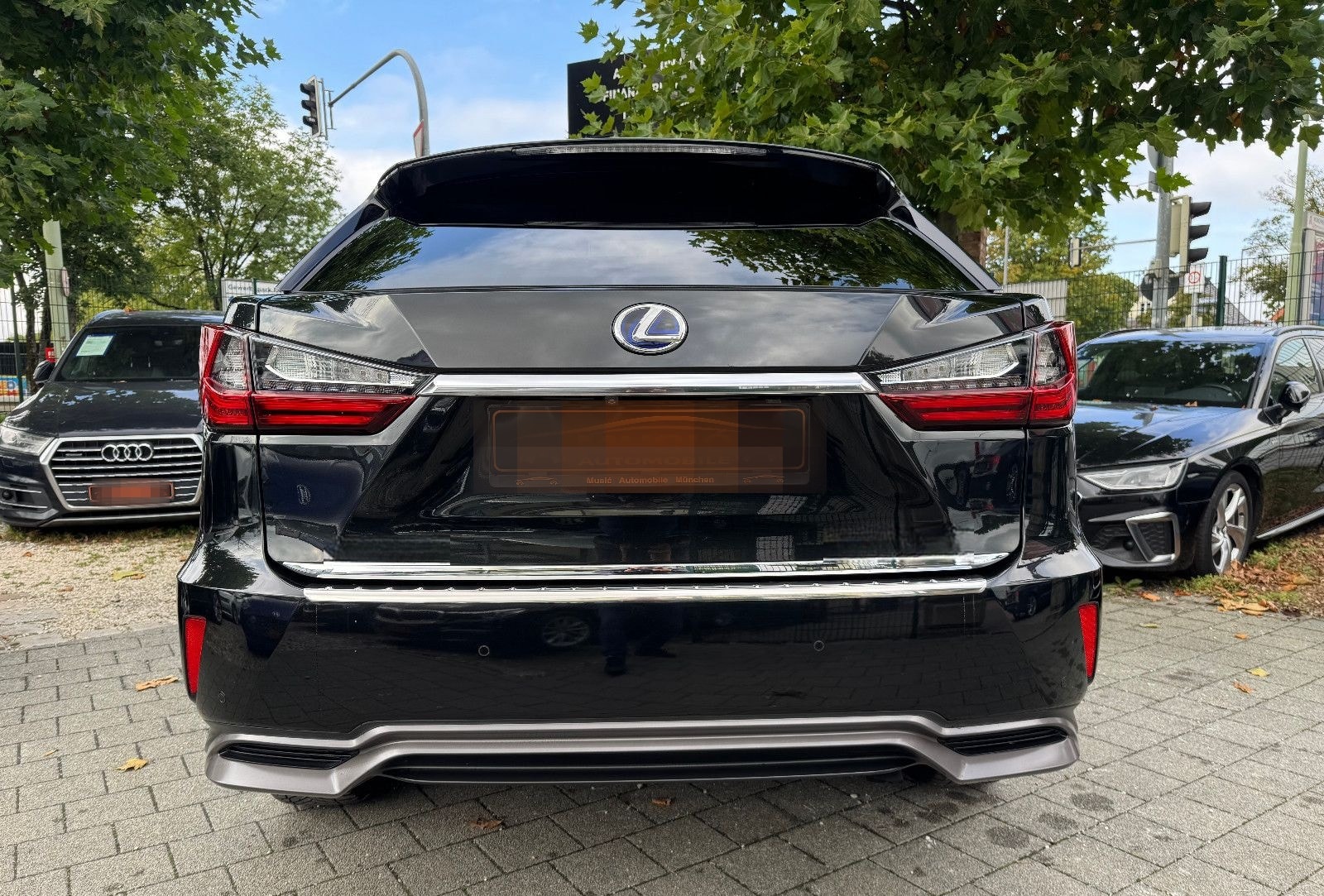 Lexus RX 450/Panorama/Kamera foto 8