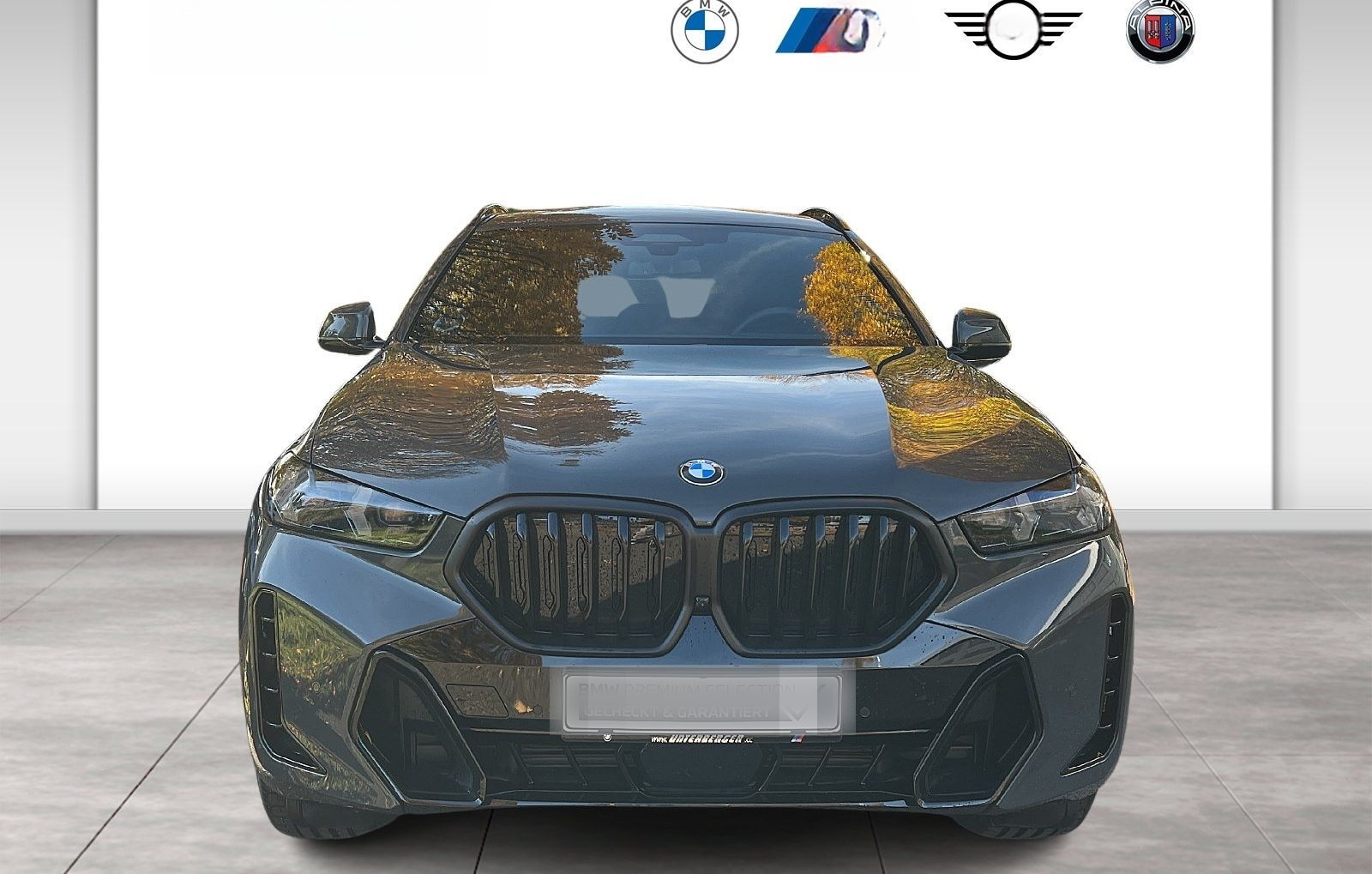 BMW X6 xDrive40d M Sport Gestiksteuerung HK HiFi foto 2