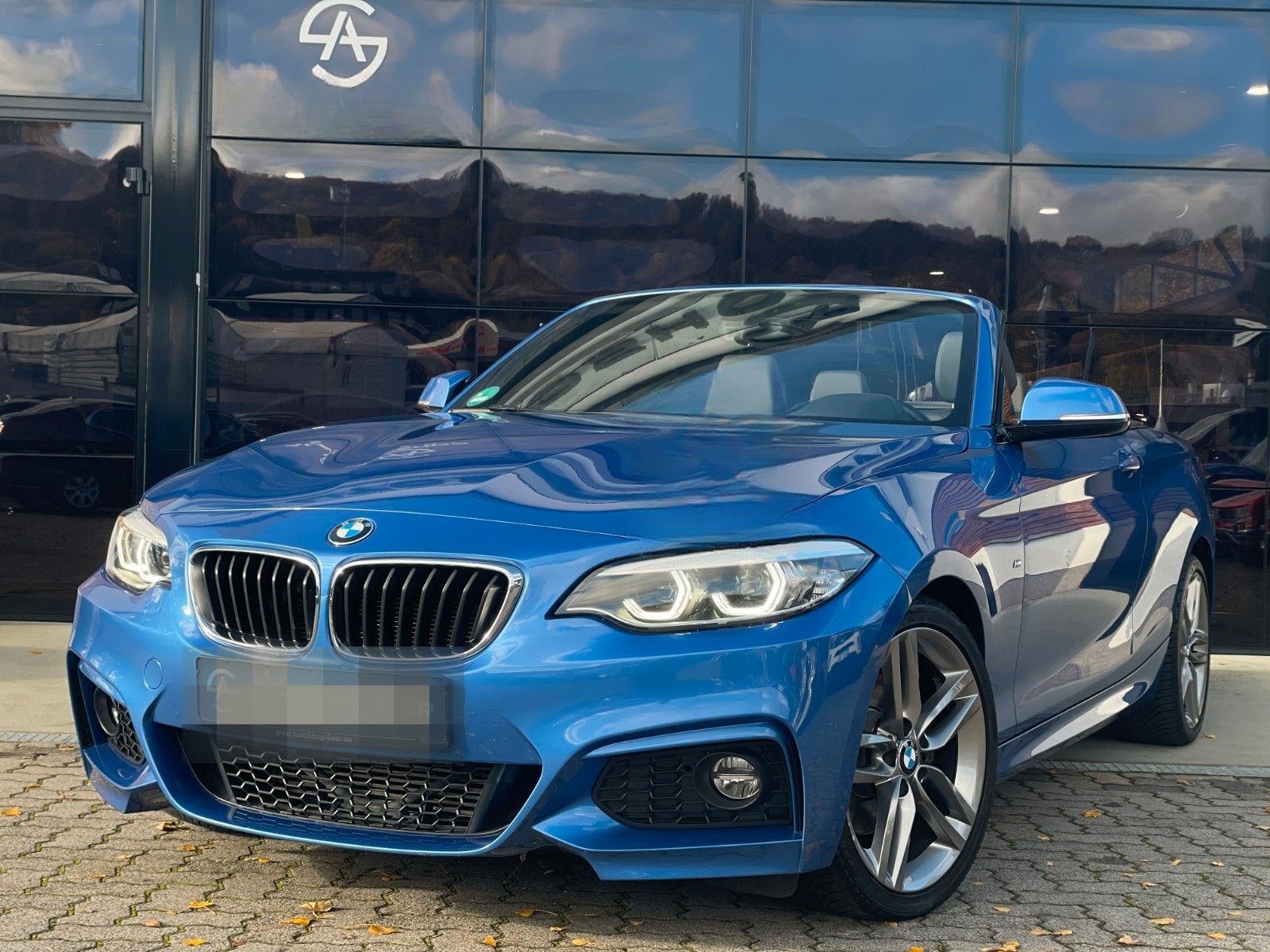 BMW Cabrio 220 d M Sport PDC/NAVI/LED foto 3
