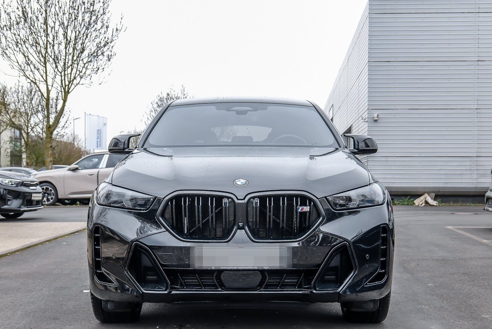 BMW X6 M60i xDrive M Sport PANO HUD ACC RFK NAVI LED foto 8