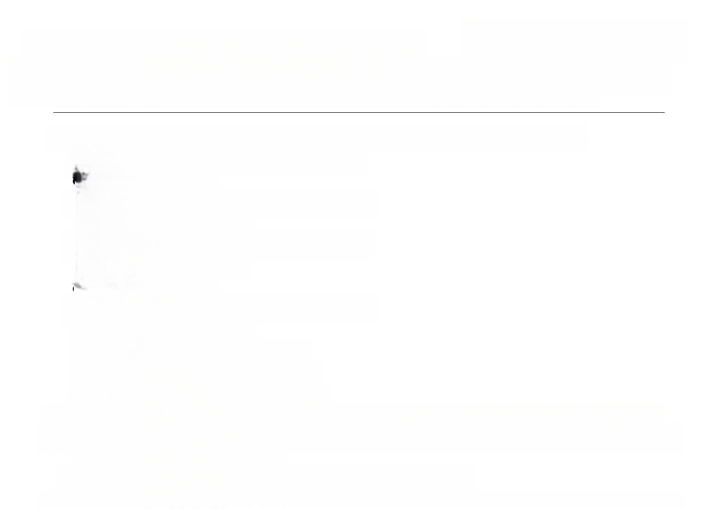 Volkswagen Tiguan Highline BMT TDI 2.0 Pano AHK ab. Navi AC foto 15