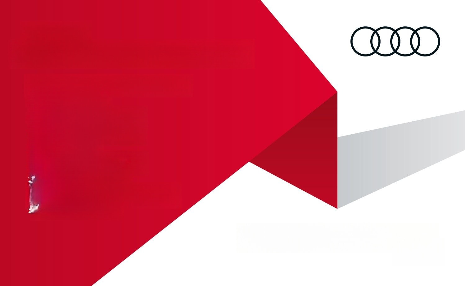 Audi RS Q8 4.0 TFSI quattro Pano Matrix LED Assistenz foto 9