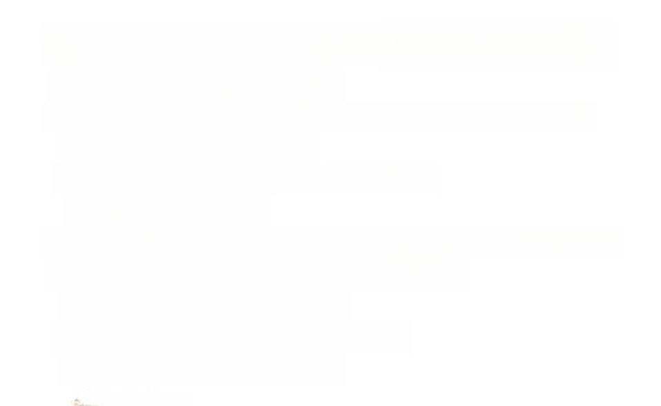 Volkswagen T-Cross 1.0 TSI OPF ACTIVE mit Navi/Sitzheizung foto 14