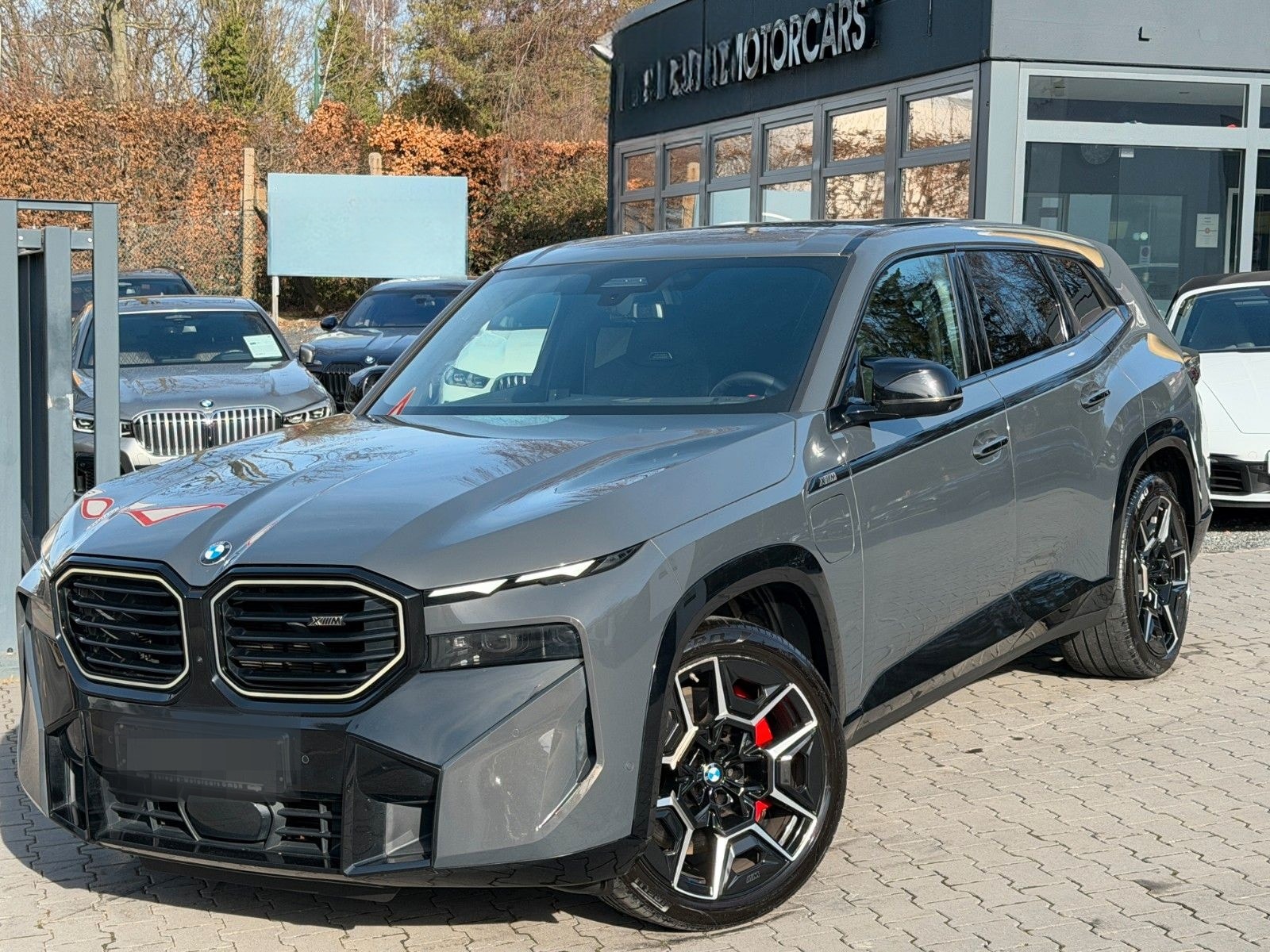 BMW XM 50 e Aut. Bowers & Wilkins - Iconic Glow /// foto 2