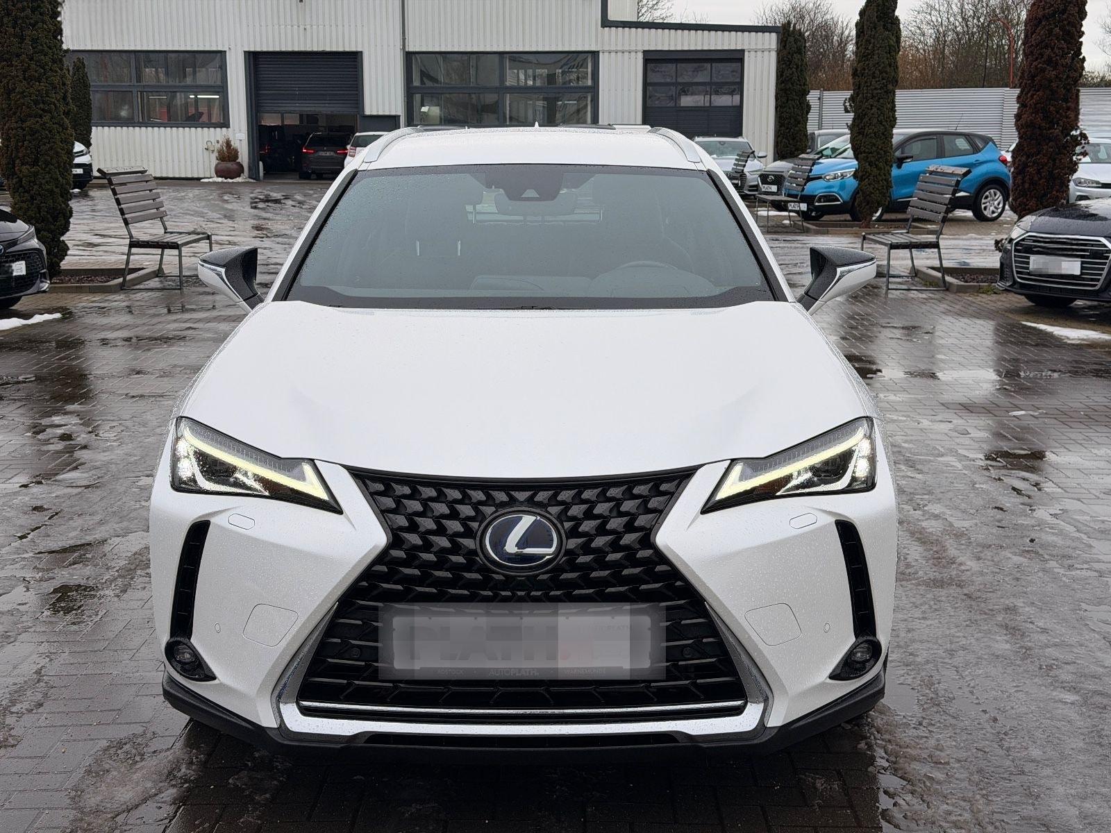 Lexus UX 250 h Launch Edition foto 3