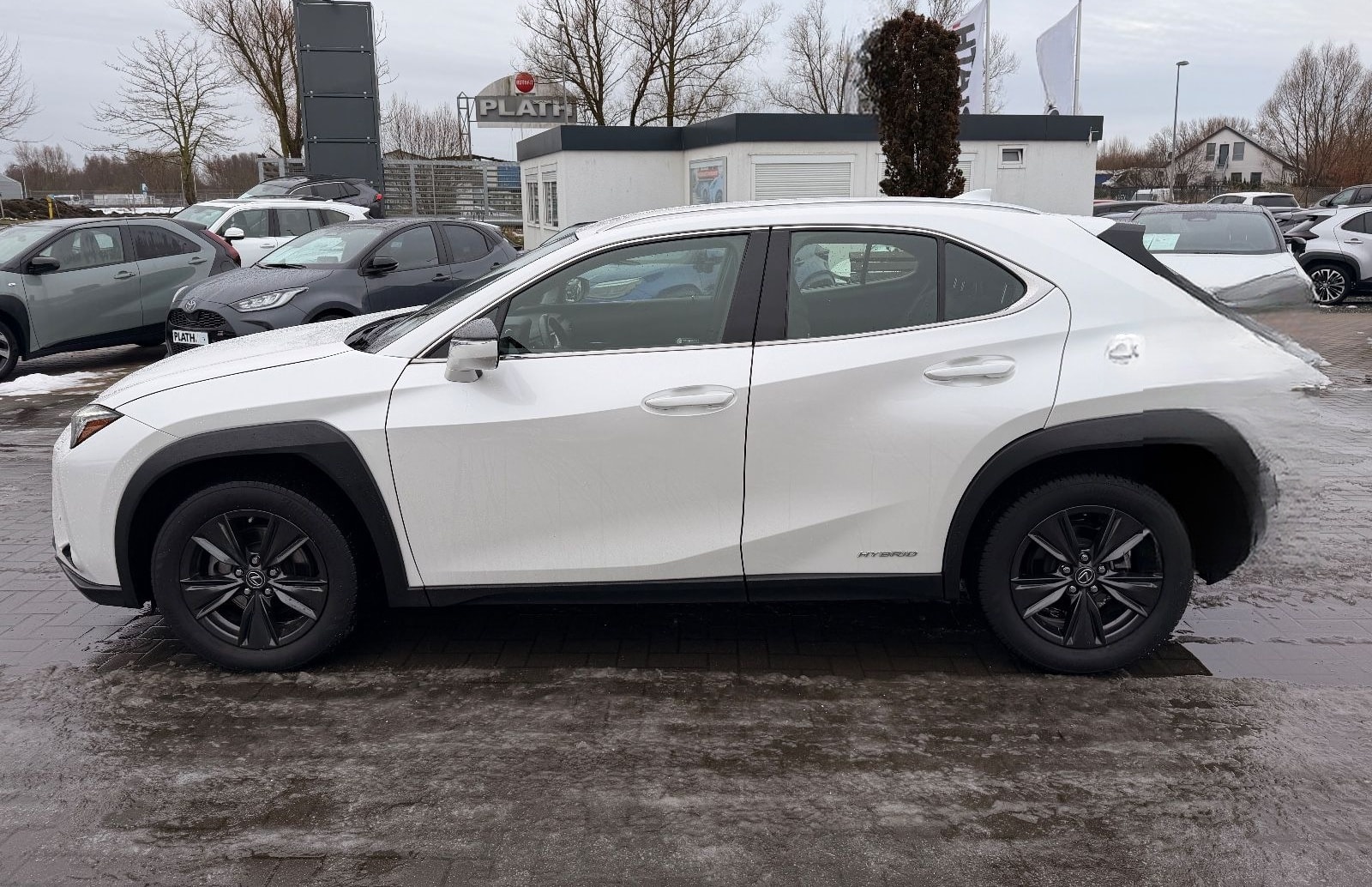 Lexus UX 250 h Launch Edition foto 8