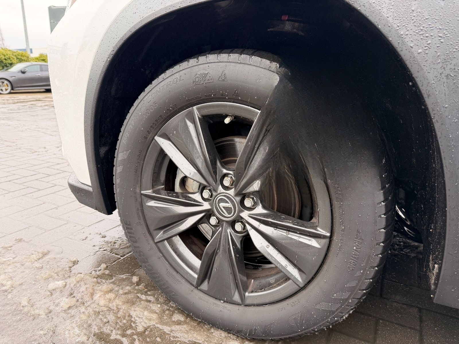 Lexus UX 250 h Launch Edition foto 9