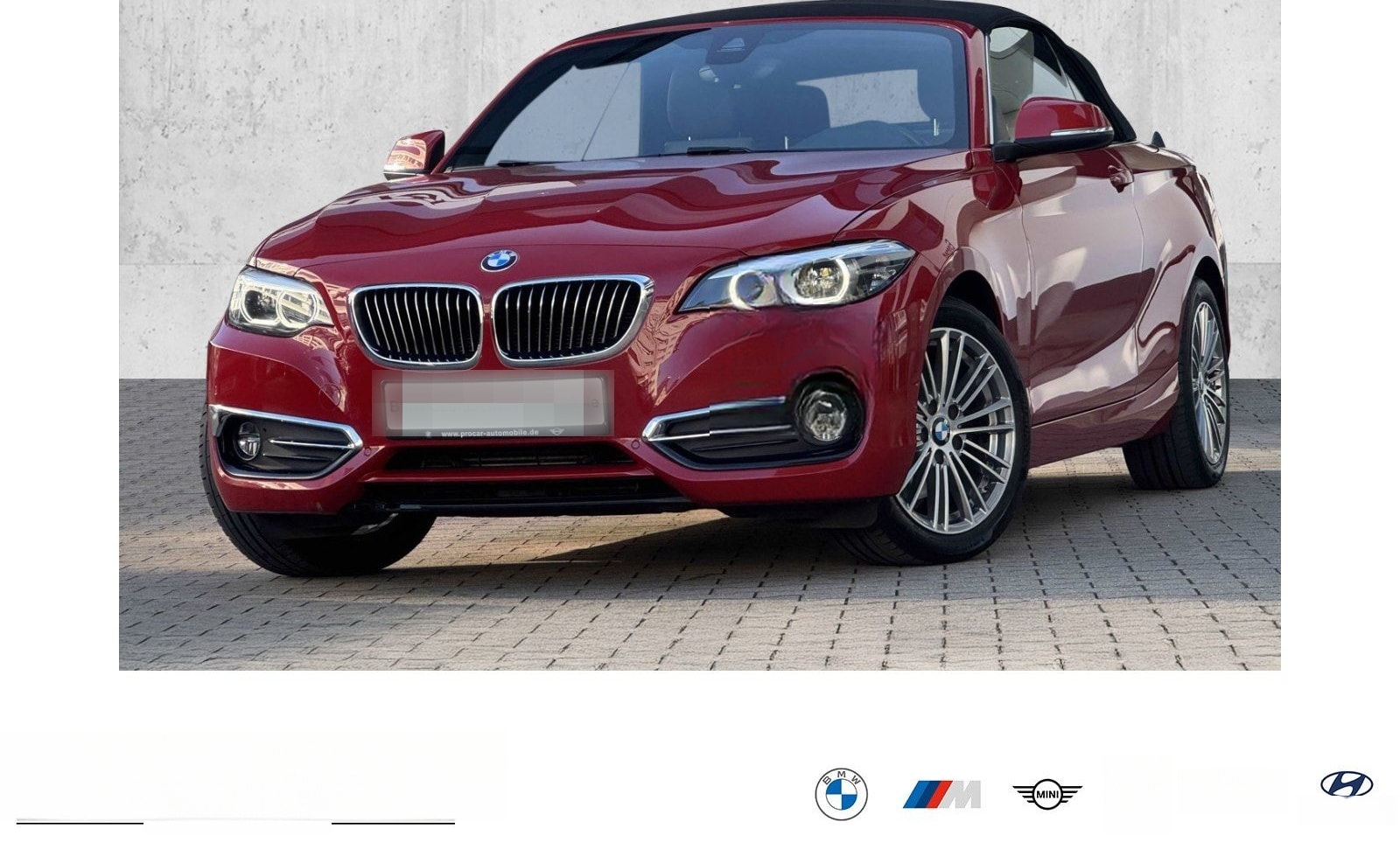 BMW 220d Cabrio Luxury Line LED Navi Prof DA PDC H/K foto 1