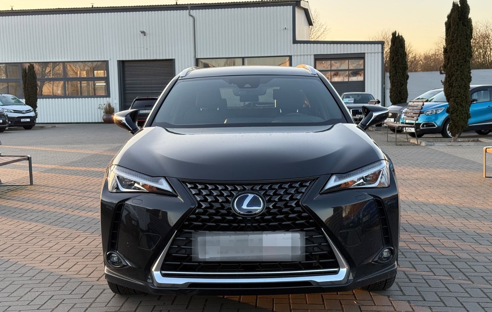 Lexus UX 250 h Launch Edition foto 2