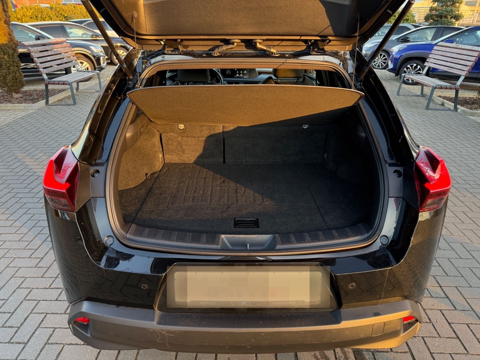 Lexus UX 250 h Launch Edition foto 13